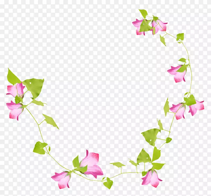 花卉设计-藤本植物枝条剪贴画