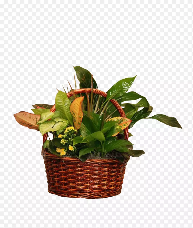 食品礼品篮，切花，花卉，室内植物叶.精美竹篮