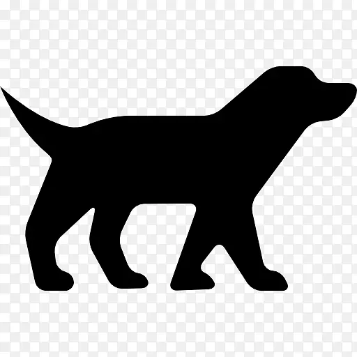 狗，凯瑞蓝猎犬，狮子狗，拉布拉多猎犬-小狗