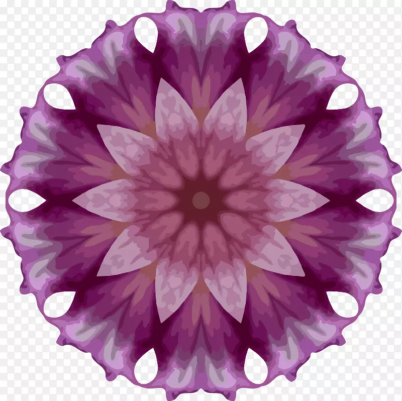 大丽花紫花瓣