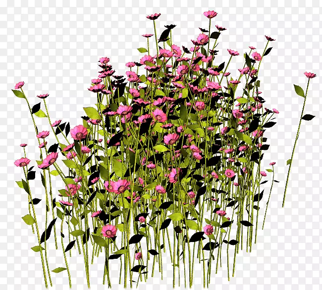花卉设计花盆植物剪贴画-花