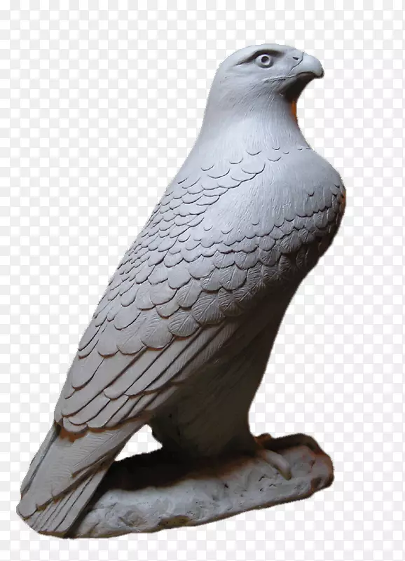 黑鹰雕像鹰山保护区石雕-鹰