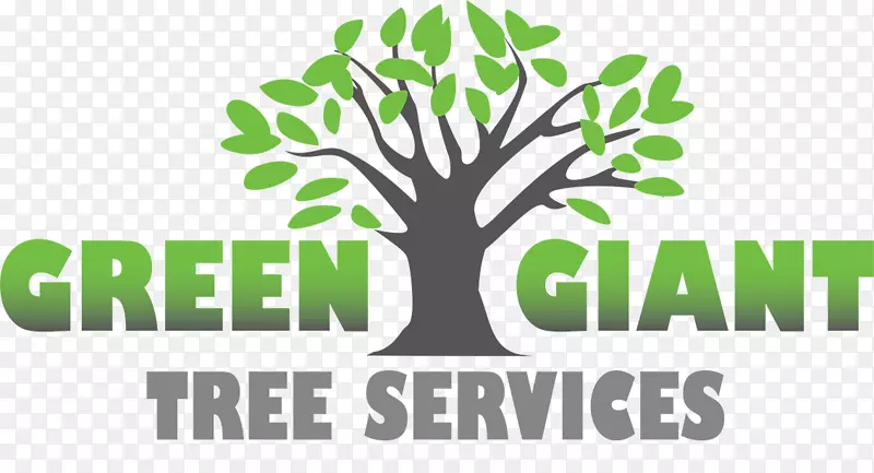 绿色巨树服务修剪树干防风建筑树
