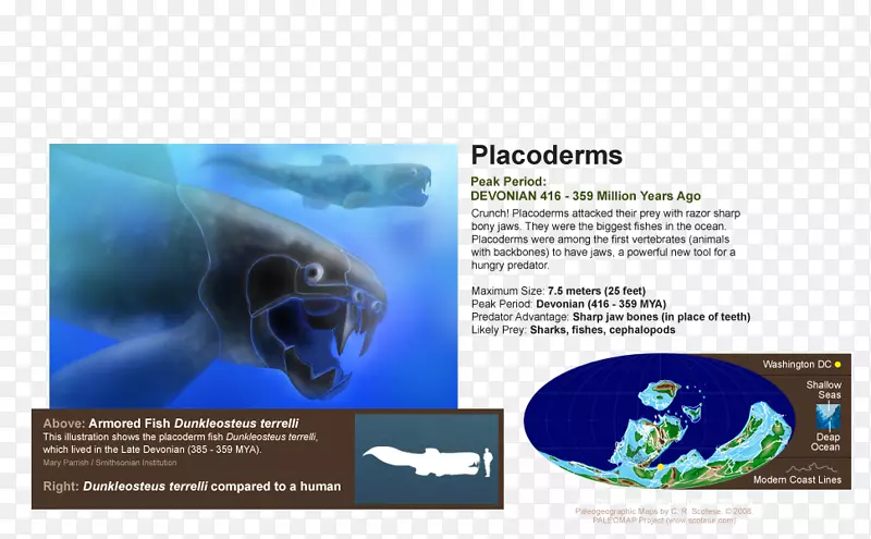 海洋生物品牌手册-天然海洋动物海洋微生物