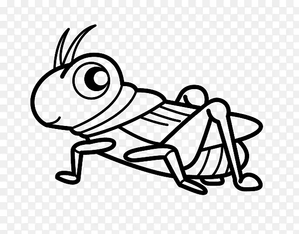 蝗虫蟋蟀绘图书昆虫蝗虫