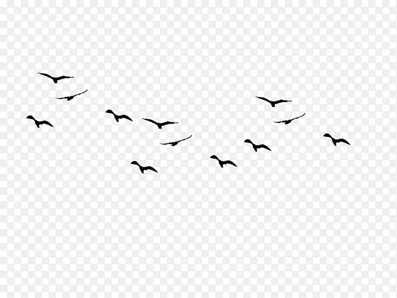 鸟群飞鸟剪贴画正方形黑色