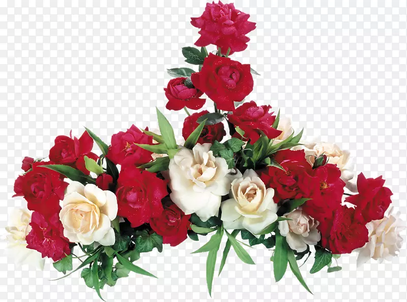花园玫瑰桌面壁纸花红玫瑰