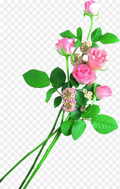 马来西亚诗歌母亲诗歌花园玫瑰-母亲节