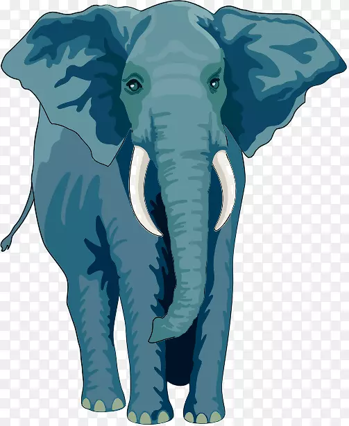 亚洲象非洲象大象绳象