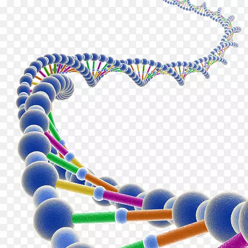 基因检测dna分子rna基因组