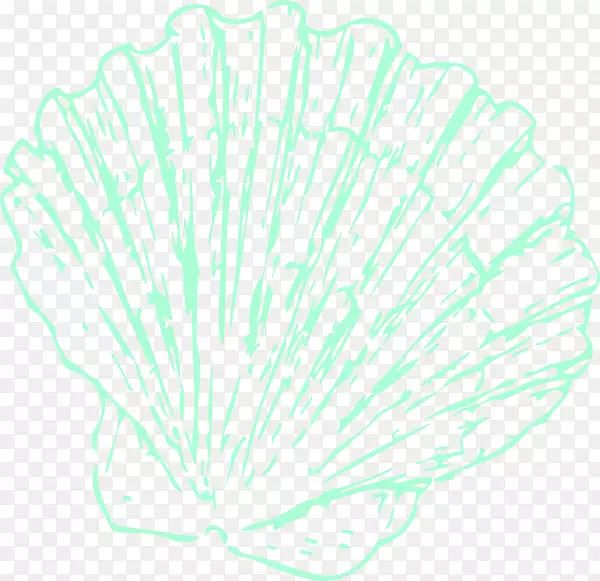 树叶艺术线条树版画.天然海洋动物海螺