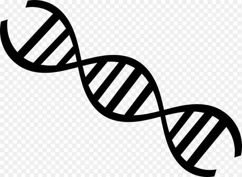 家谱dna测试核酸双螺旋遗传学剪贴画