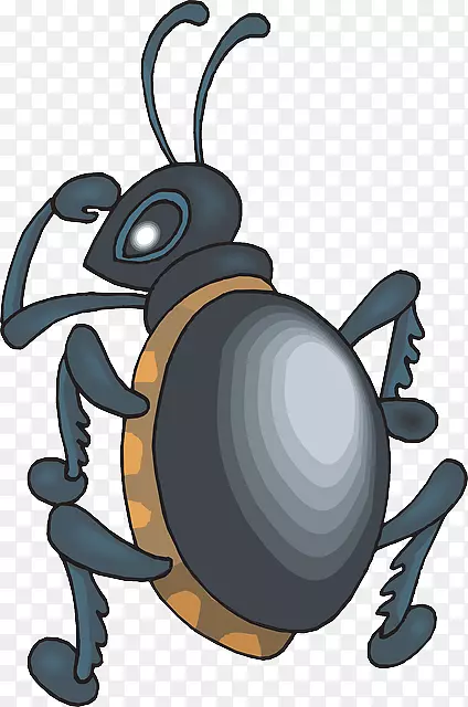 甲虫动画剪辑艺术-甲虫