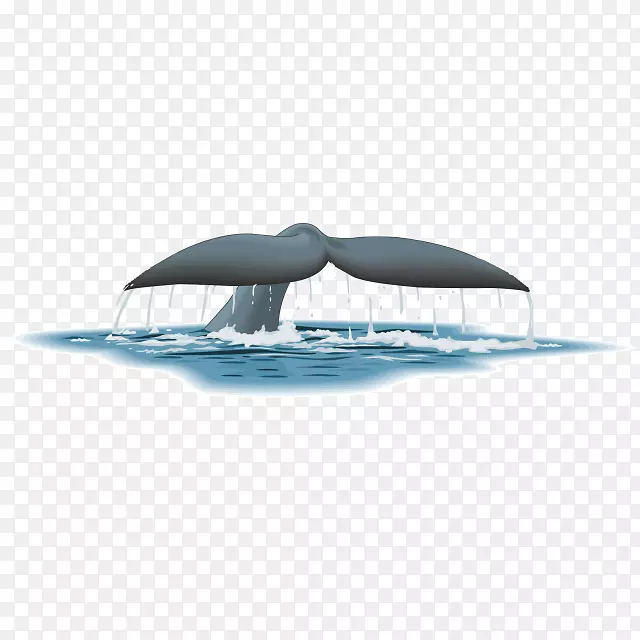 西角鲸游泳池-鲸鱼馆