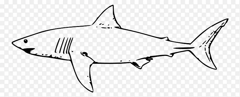大白鲨锤头鲨公牛鲨鱼剪贴画