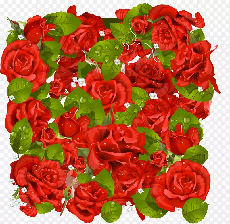 花园玫瑰画框剪贴画