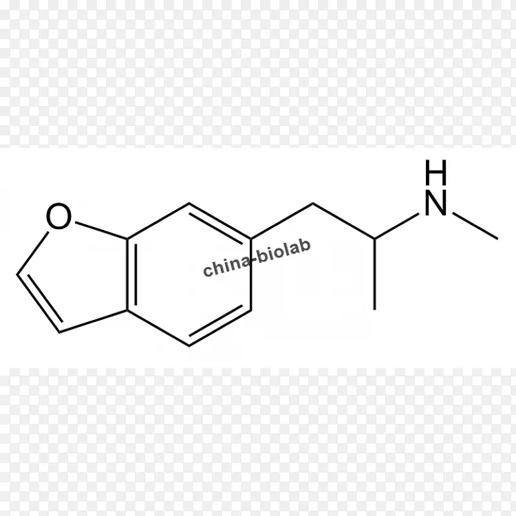 沙丁胺醇药物代谢苯肾上腺素受体-受体