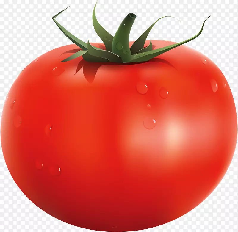 意大利番茄派食品剪贴画-蔬菜