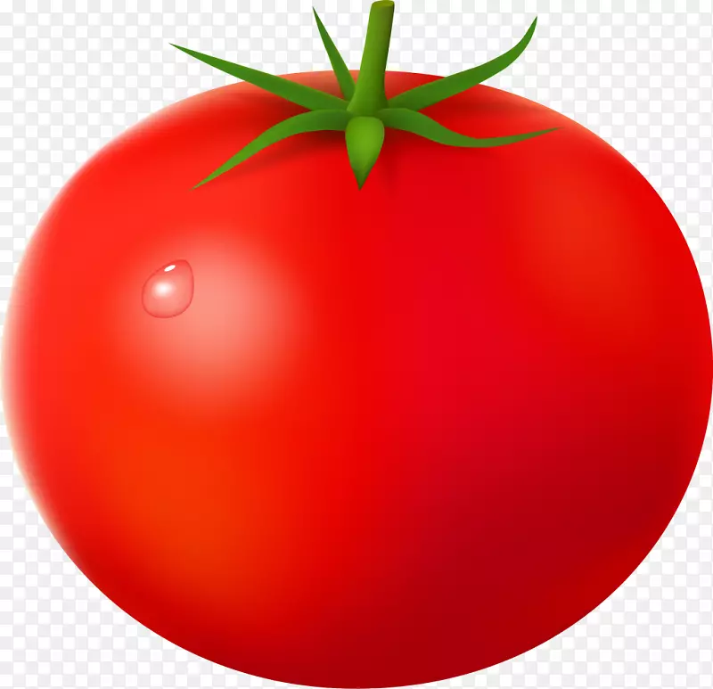 樱桃番茄梨番茄蔬菜剪贴画-蔬菜