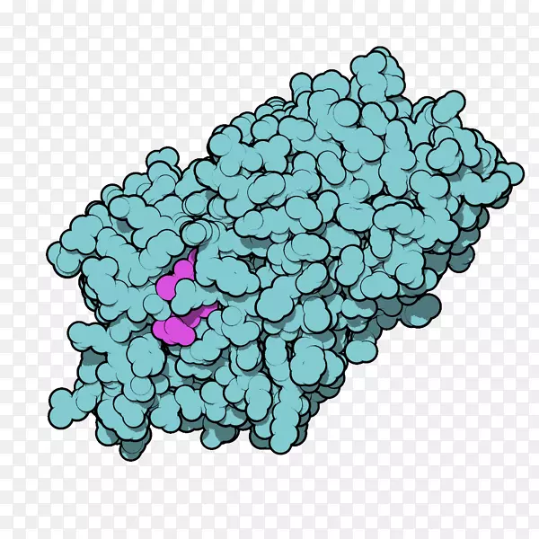 甲状腺素结合球蛋白甲状腺激素水痘