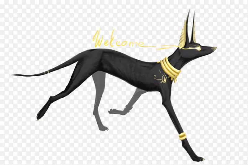 古埃及阿努比包巴斯托犬-阿努比斯