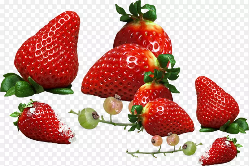草莓果沙拉芝士蛋糕阿莫罗多草莓