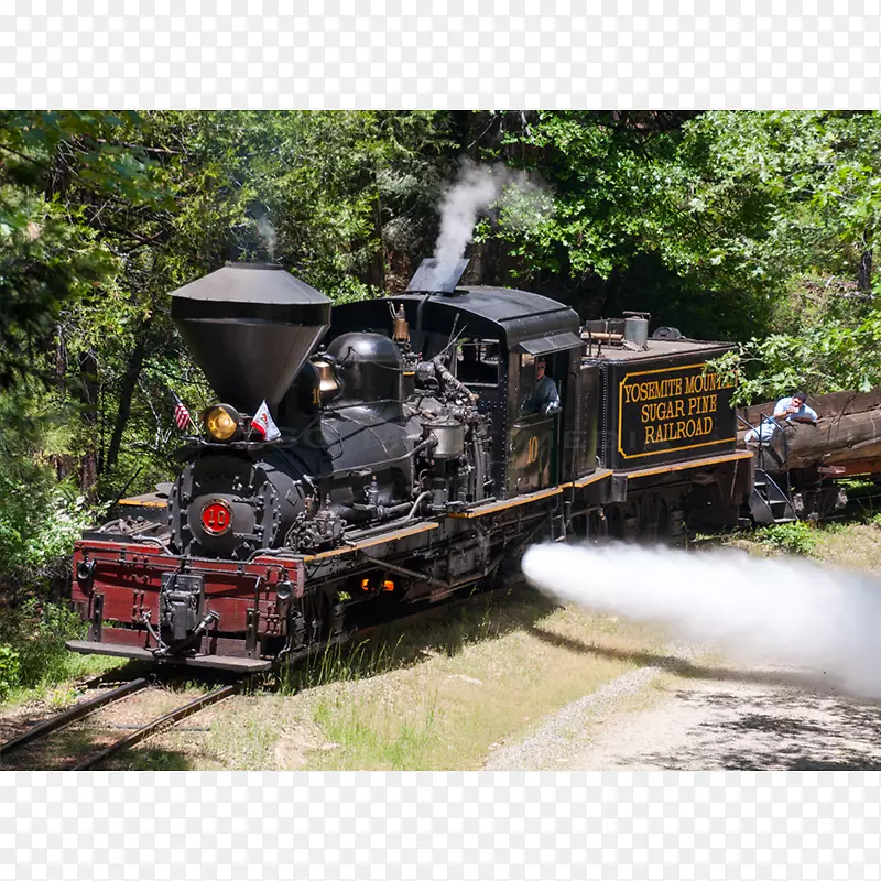 约塞米蒂山糖松铁路火车运输蒸汽机车Shay机车列车