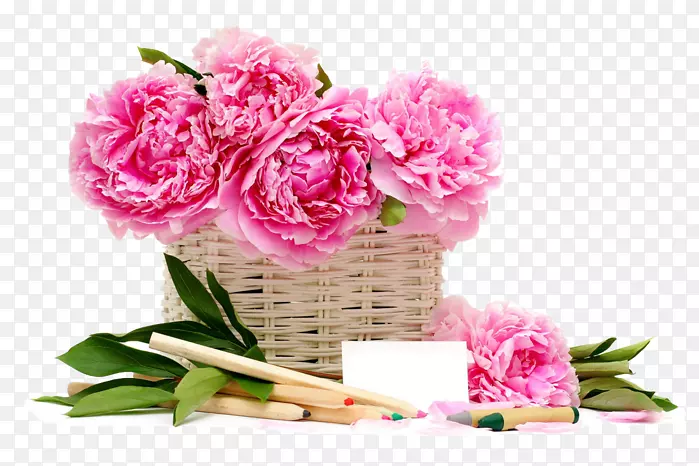 粉红色花篮玫瑰桌面壁纸-花