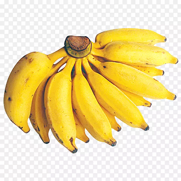 侏儒卡文迪什香蕉水果烹饪香蕉女士手指香蕉-香蕉