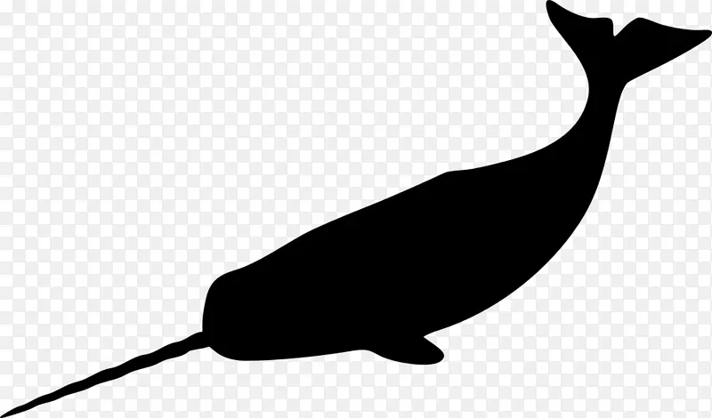独角鲸画剪贴画-鲸鱼