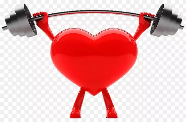 心脏重量训练心血管疾病运动-心脏