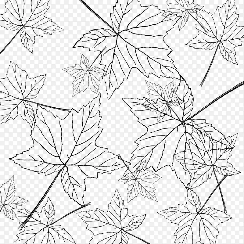 叶线艺术花卉设计-一束枫叶