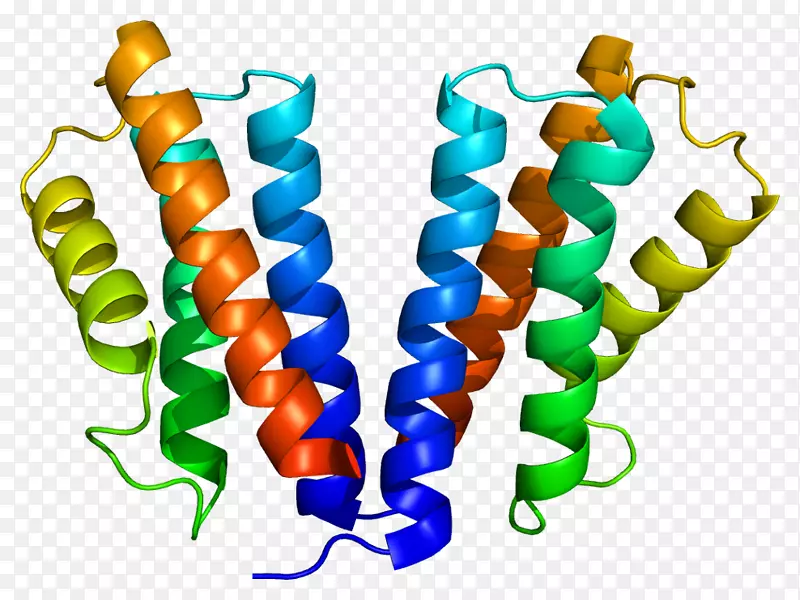 信号转导适配器蛋白囊泡液泡蛋白质分选蛋白复合物