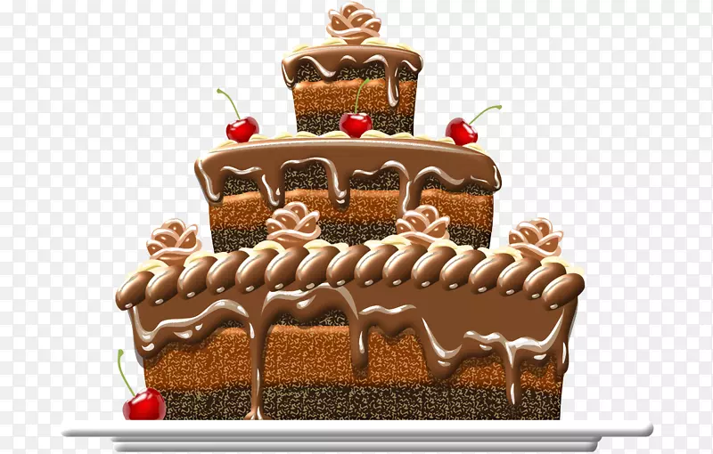 巧克力蛋糕托特摄影生日-巧克力蛋糕