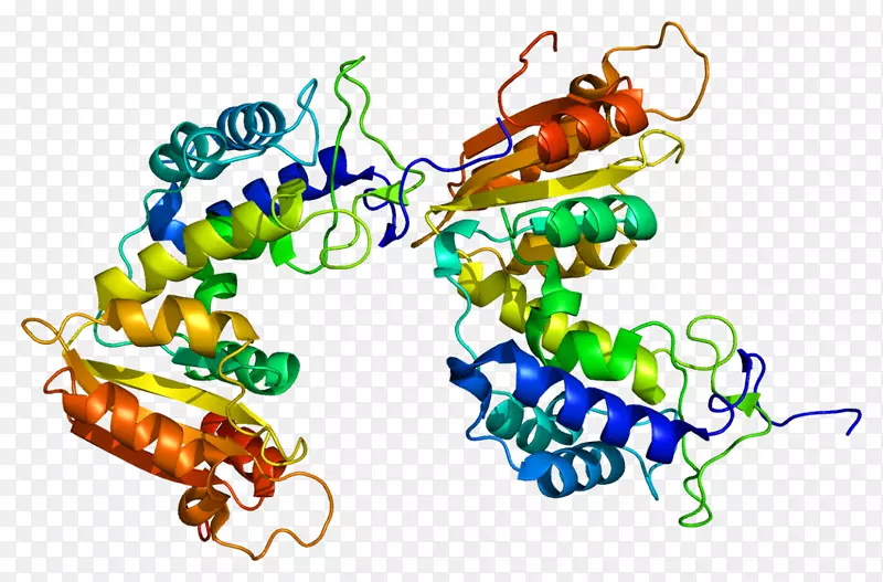 CD 38多发性骨髓瘤药物细胞治疗