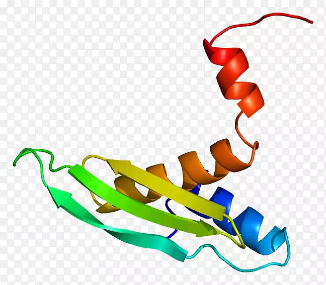 stau 2基因rna结合蛋白