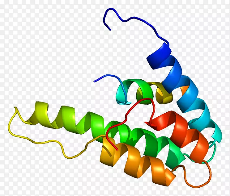 sin3a锌指和btb结构域16基因