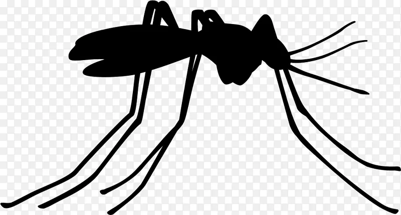 蚊虫防治媒介-蚊子