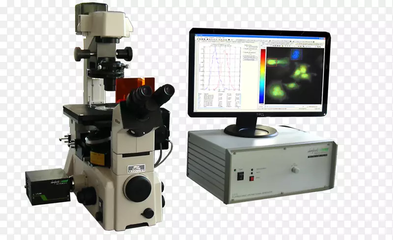 荧光显微镜卡尔蔡司显微镜荧光寿命成像显微镜