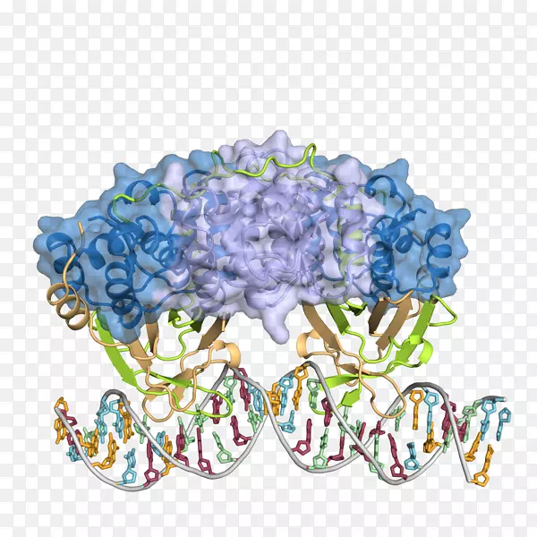 分子生物学和遗传学系-科学园结构生物学-科学系