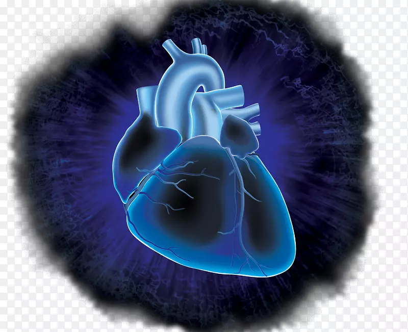 循环系统心血管研究心脏桌面壁纸心血管疾病-心脏