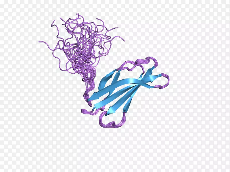 纤维连接蛋白结构域整合素蛋白二聚体