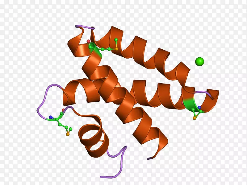 假体皂甙蛋白结构域糖蛋白基因