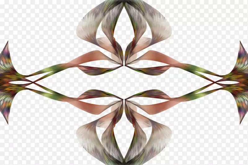 花瓣对称性
