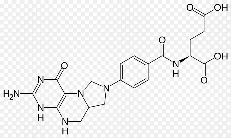5，10-亚甲基四氢叶酸还原酶左旋氟酚酸同型半胱氨酸