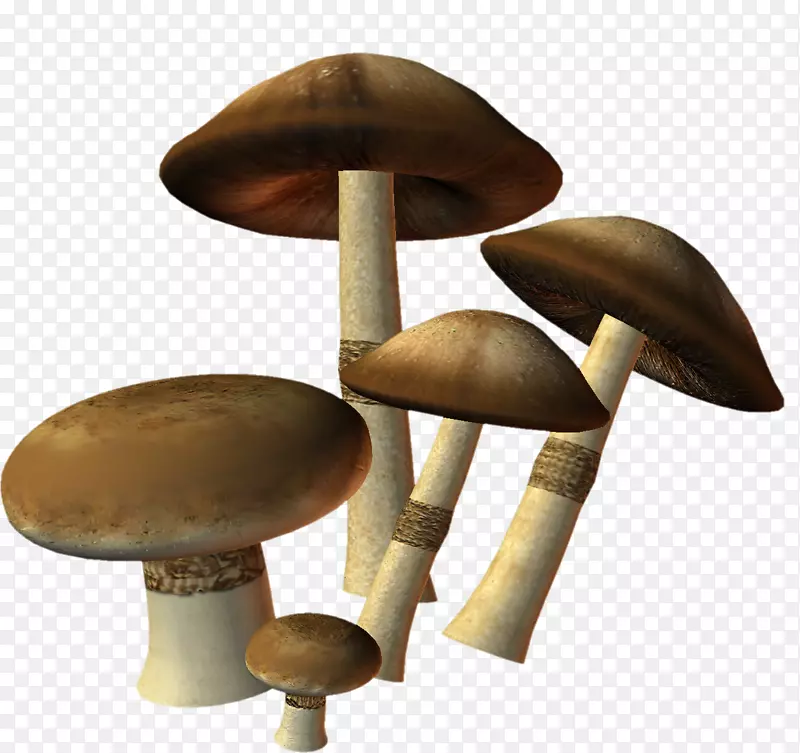 食用菌蘑菇剪贴画-蘑菇