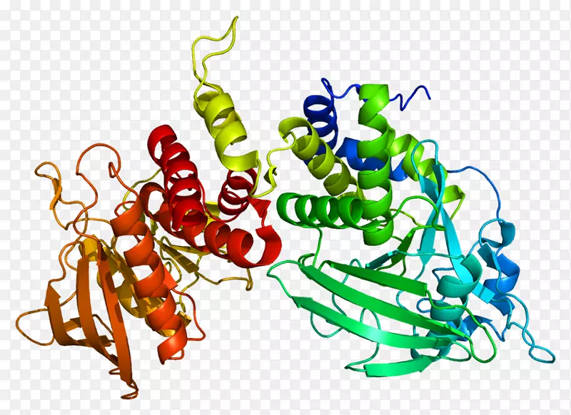 微管蛋白ptprs蛋白酪氨酸磷酸酶