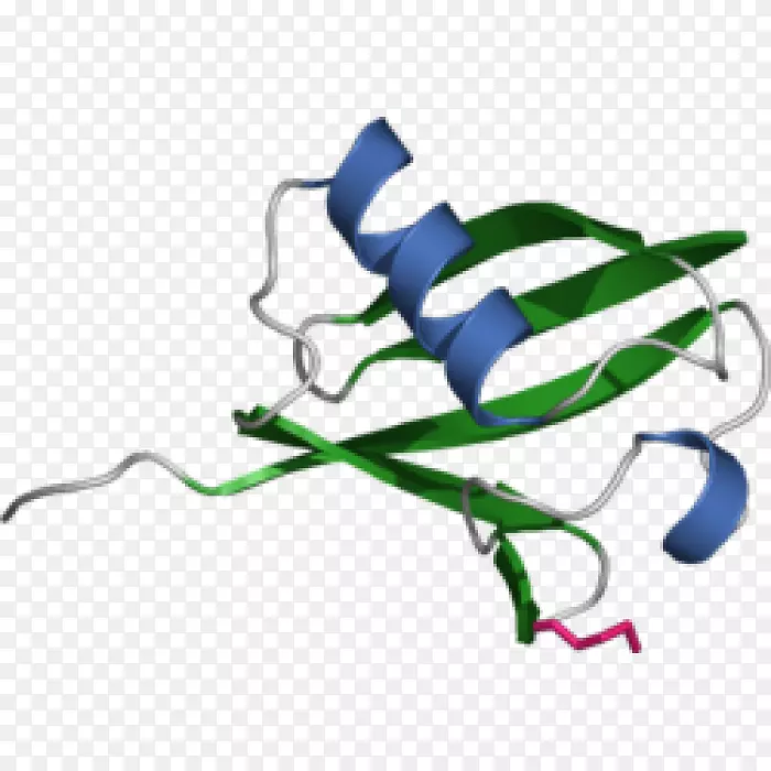 组蛋白泛素化蛋白酶体蛋白