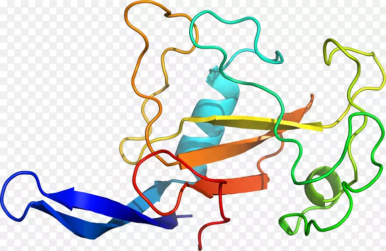 线点生物剪贴画线