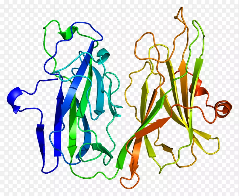 肽酰甘氨酸α-胺基化单加氧酶肽甘氨酸单加氧酶蛋白